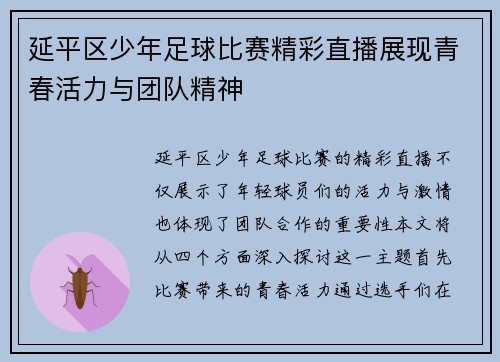 延平区少年足球比赛精彩直播展现青春活力与团队精神